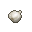 Bulb of Garlic