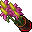 Flower Pot (Fairy Dancer, Grown Dry)