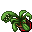 Flower Pot (Finger Snapper, Permanent)