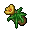 Honey Flower
