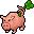 Lucky Pig