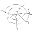 Spider Silk