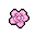 Wafer Paper Flower