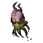 Brain Squid