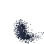 Insect Swarm