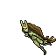 Nymph