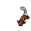 Thieving Squirrel