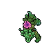 Peony