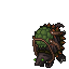 Swamp Snapper